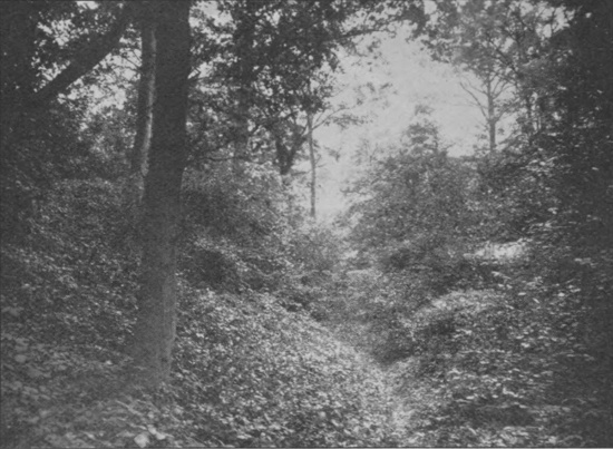 The Devil’s Dyke, Marford