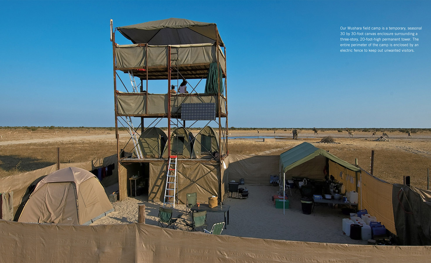 Our Mushara field camp is a temporary, seasonal 30 by 30-foot canvas enclosure surrounding a three-story, 20-foot-high permanent tower. The entire perimeter of the camp is enclosed by an electric fence to keep out unwanted visitors.