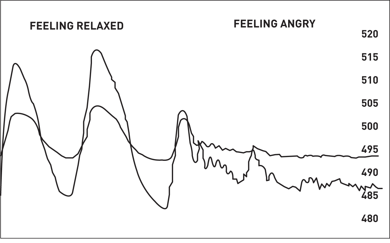 Graph showing a large waveform under the label 'feeling relaxed' and a shallow, jagged waveform under the label 'feeling angry.'