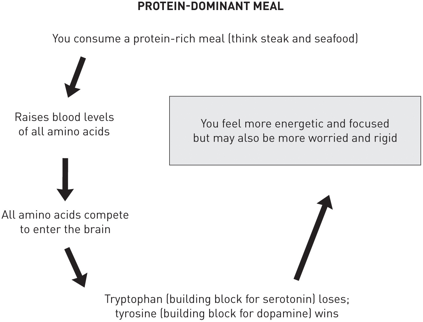 Diagram showing the progression of effects of a protein-dominant meal. You consume a protein-rich meal (think steak and seafood). It raises blood levels of all amino acids. All amino acids compete to enter the brain. Tryptophan (building block for serotonin) loses; tyrosine (building block for dopamine) wins. You feel more energetic and focused but may also be more worried and rigid.