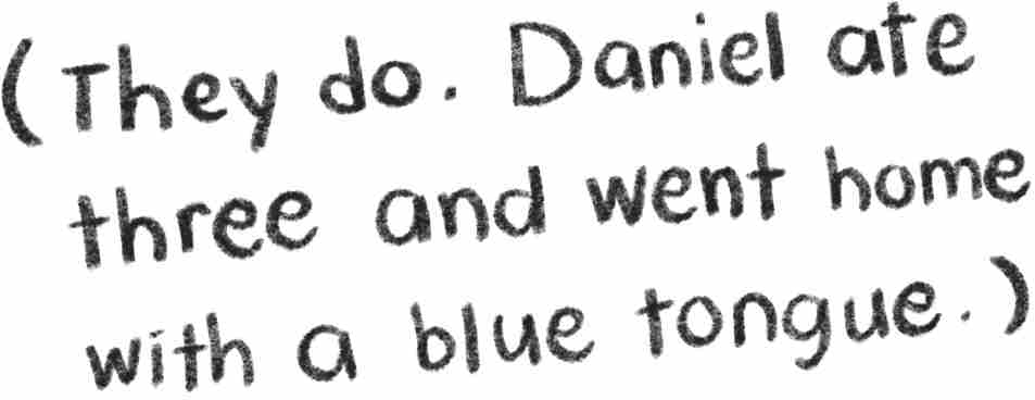 They do. Daniel ate three and went home with a blue tongue.