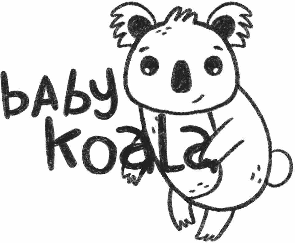 Baby koala