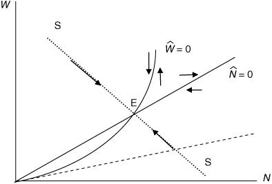 Figure 23.4 Malthusian model with increasing returns.