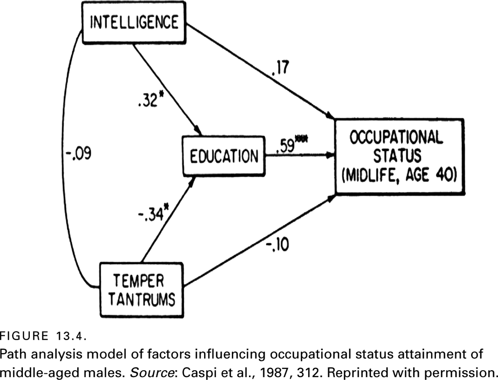 FIGURE 13.4. Path analysis model of factors influencing occupational status attainment of middle-aged males. Source: Caspi et al., 1987, 312. Reprinted with permission.