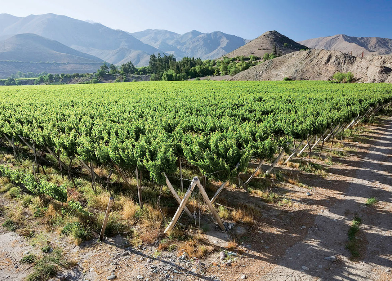 iStock_000002429639Medium_Chile_EC.jpg