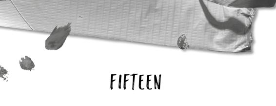 Fifteen