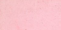 I_1_f_Hermosa_Pink