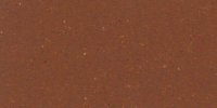 II_9_m_Chestnut