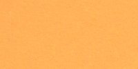 III_13_d_Capucine_Orange