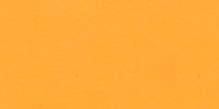 III_15_b_Capucine_Yellow