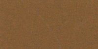 III_15_m_Brussels_Brown