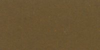 III_17_m_Raw_Umber