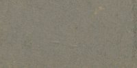 LI_15′′′′′___Mouse_Gray