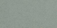 LII_35′′′′′_b_Hathi_Gray