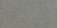 LIII_NG___Neutral_Gray