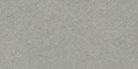 LIII_NG_d_Pale_Neutral_Gray