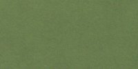 V_29_m_Spinach_Green
