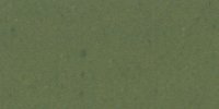 VI_31_m_Cedar_Green
