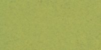 VI_33_i_Scheele's_Green