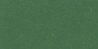 VI_33_m_Cossack_Green