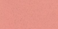 XIII_5′_d_Coral_Pink