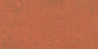 XIV_11′_i_Cinnamon-Rufous