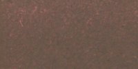 XIV_11′_m_Chestnut-Brown