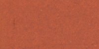 XIV_7′_i_Vinaceous-Rufous