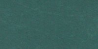 XIX_41′_m_Invisible_Green