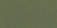 XLI_25′′′_k_Lincoln_Green
