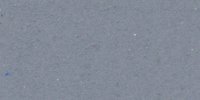 XLIX_53′′′′_b_Violet-Plumbeous