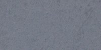 XLIX_57′′′′___Varley's_Gray
