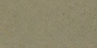 XLVI_21′′′′___Grayish_Olive
