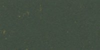 XLVII_25′′′′_m_Olivaceous_Black_(2)