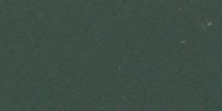XLVII_29′′′′_m_Dull_Greenish_Black_(1)