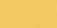 XVI_19′_b_Mustard_Yellow