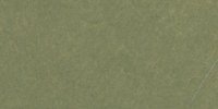 XVII_25′_k_Light_Hellebore_Green
