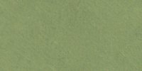 XVII_29′_i_Light_Bice_Green