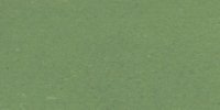 XVIII_31′_i_Rinnemann's_Green