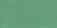XVIII_35′___Motmot_Green