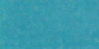 XX_43′___Motmot_Blue