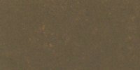 XXIX_17′′_m_Sepia