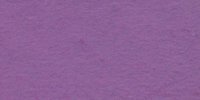 XXV_65′_i_Petunia_Violet