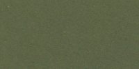 XXXI_25′′_m_Ivy_Green