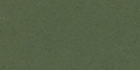 XXXI_27′′_m_Yew_Green