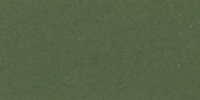 XXXI_29′′_m_Dark_Cress_Green