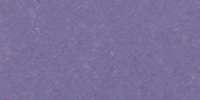 XXXVI_55′′___Vanderpoel's_Violet