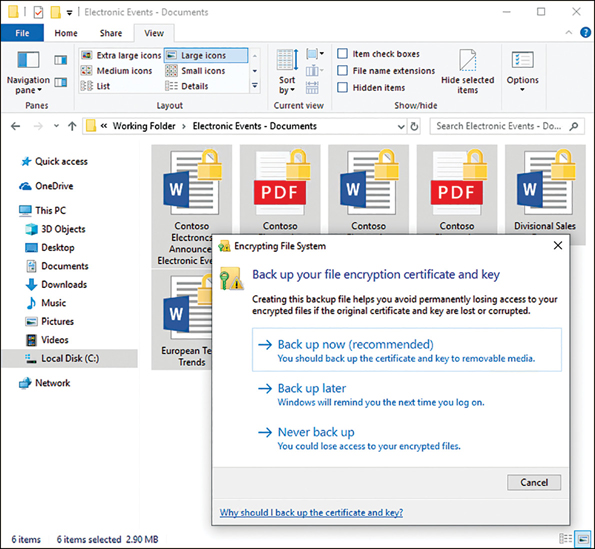 A screenshot shows the file explorer window with several files selected in the background. In the foreground, the Encrypting File System dialog box appears, which requests that you back up your encryption certificate and key. There are three choices: Back Up Now, Back Up Later, and Never Back Up.