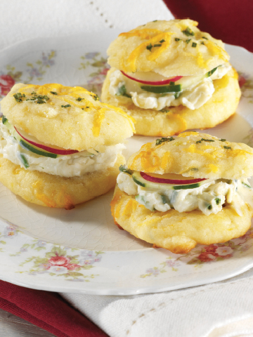 023_ChedBites.tif