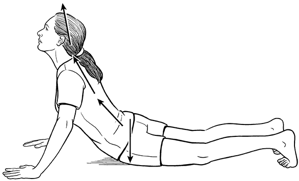 6_13_laying_Du_meridian_back_extension.tif